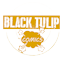 Black Tulip Comics